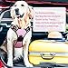 Rabbitgoo Dog Harness No-Pull Pet Harness Adjustable Outdoor Pet Vest Reflective Vest Harness for Large Dogs (Pink, L)
