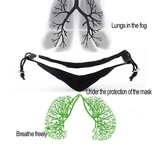 ZWZCYZ Masks Dust Mask Anti Pollution Mask PM2.5 4 Layer Activated Carbon Filter Insert Can Be Washed Reusable Masks Cotton Mouth Mask for Men Women (Large(Men's), Coffee Flower)