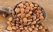 Apricot Kernels/Seeds (1/2 Pound / 227 grams) Our Father's Farm Bitter Certified Organic Raw