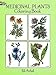 Medicinal Plants Coloring Book (Dover Nature Coloring Book) by Ilil Arbel