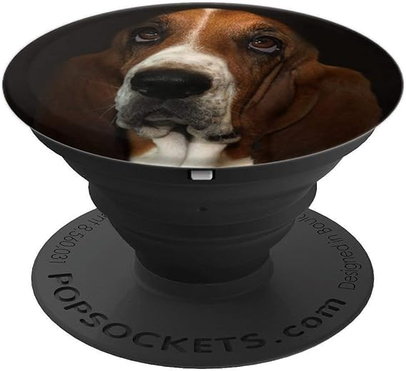 basset hound gifts amazon