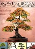 Growing Bonsai: A Practical Encyclopedia: The essential practical guide to a classic art with techniques, step-by-step projects and over 800 photographs by 