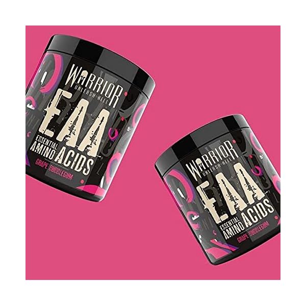 Warrior Eaa Fruit Salad 360G