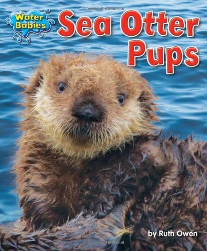 Sea Otter Pups (Water Babies) Library Binding – August 1, 2012
