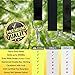 Yetizilla Tree Swing Hanging Kit 2X 10ft Extra Long Adjustable Tree Swing Straps with Swivel, Rustproof Lock-Screw Carabiners & Strong Hooks –Portable Hammock Hanger Accessories – Holds 2000lbs