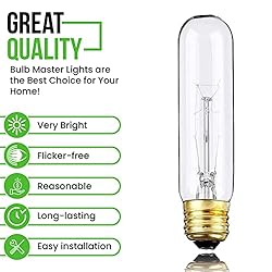 Bulbmaster 25 Watts T10 Tubular Clear Incandescent