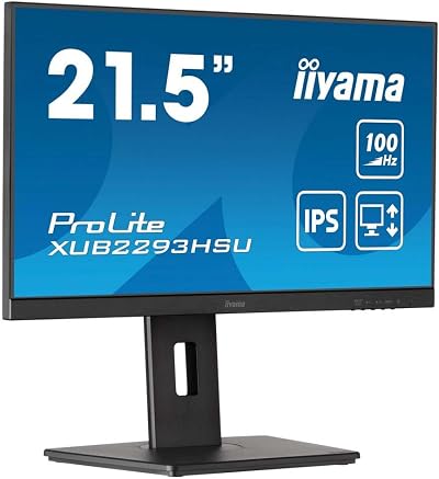 iiyama -B7 21.5 inch IPS 100Hz 1ms FHD USB HDMI DP