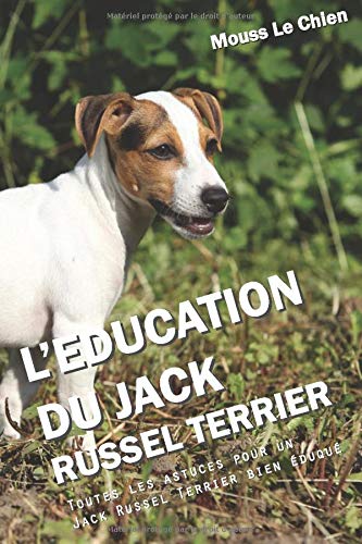 Amazonfr Leducation Du Jack Russel Terrier Toutes Les