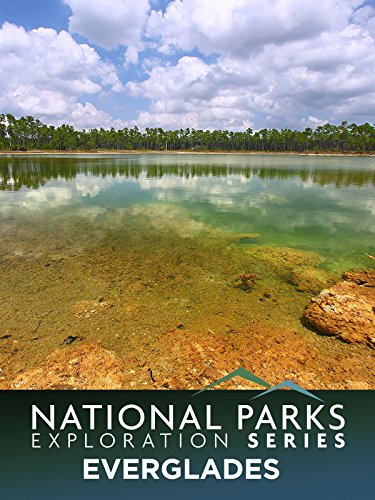 National Parks Exploration Series: The Everglades
