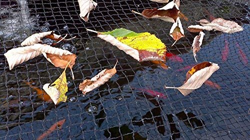 Black Pond Cover Netting 10m (33') x 6m (20'), Heavy Duty Woven Fine Mesh Garden Netting Cover for Leaves, Protects Koi Fish from Blue Herons and Pond Predators