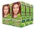 Naturtint Permanent Hair Color - 7.46 Arizona Copper, 5.28 fl oz (6-pack)
