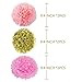 Litaus 1st Birthday Decorations, Happy Birthday Banner, 1st Baby Girl Number 1 Balloon, Pom Poms, Birthday Hat for 1st Birthday Girl Outfit, Girls Birthday