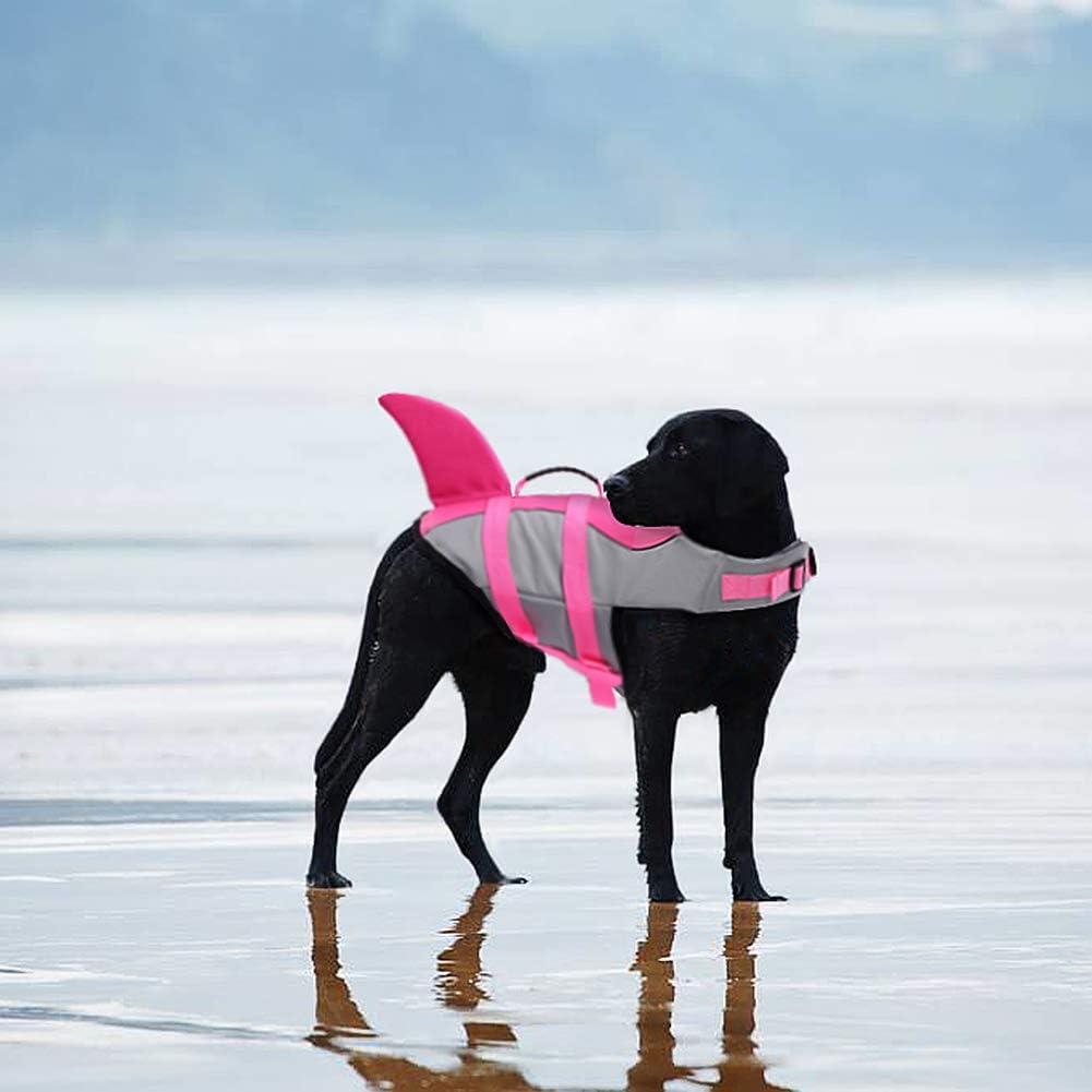 CITÉTOILE Dog Life Jacket Shark Costume - Image 3