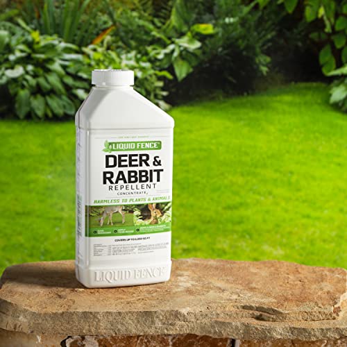 Liquid Fence Deer and Rabbit Repellent Concentrate, Keep Deer and