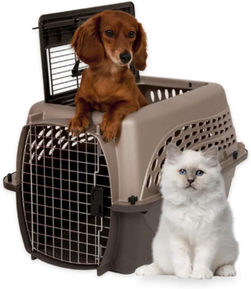 Petmate Two Door Top Load Dog Kennel : Hard Sided Pet Carriers : Pet Supplies