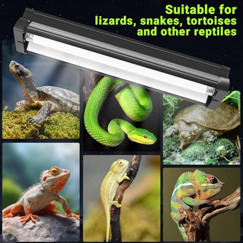 Jellybibo 8W T5 UVB Light Reptile Kit, 10% UVB & 30% UVA for Tropical Desert Reptiles, 31.5cm (12.4in) High Output Fixture with T5 10.0 UVB Tube for Bearded Dragon, Lizard, Tortoise & Gecko