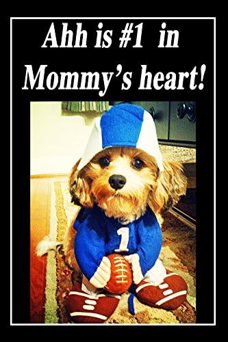 BIG BLUE— 1 small, funny fridge magnet, 2x3 inches (5.08 x 7.62 cm), meme decorative magnetic sign plaque, Bolognese or Bichon Frise pet dog in football costume