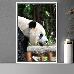 signwin Framed Canvas Wall Art Panda Animals Bear...