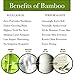 Bimboly Extra Soft Baby Bamboo & Cotton Hooded Towel + Bonus Bath Set | Antibacterial and Hypoallergenic | Keeps Baby Dry and Warm | Sized for Infant and Toddler | Baby shower Gift | Ivory