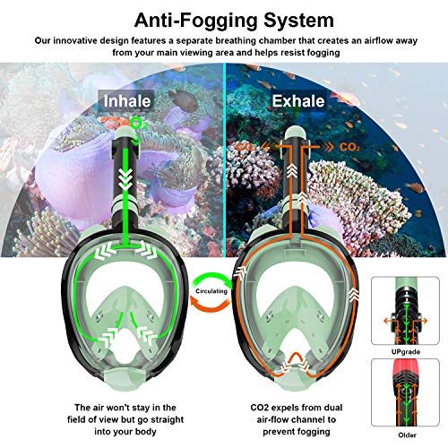 Letsport Upgraded Full Face Snorkel Mask for Adults Kids, Anti-Leak Anti-Fog Snorkeling Mask with Latest Dry Top System, Detachable Camera Mount, Earplug, Folding 180 Degree Panoramic View Diving Mask