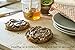Gourmet Cinnamon Almond Butter w/ Chia Seeds by Betsy's Best - All Natural and GMO Free