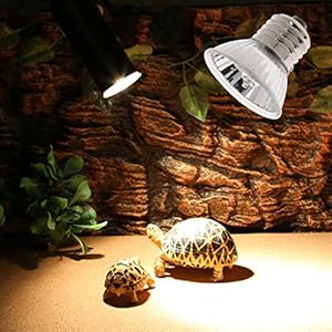 2 Pz 75W Lampada di Basking del Calore Lampade Riscaldante Alogena UVA UVB per Rettilari Animali Domestici Marca: perfk 2 Pz 75W Lampada di Basking del Calore Lampade Riscaldante Alogena UVA UVB per Rettilari Animali Domestici