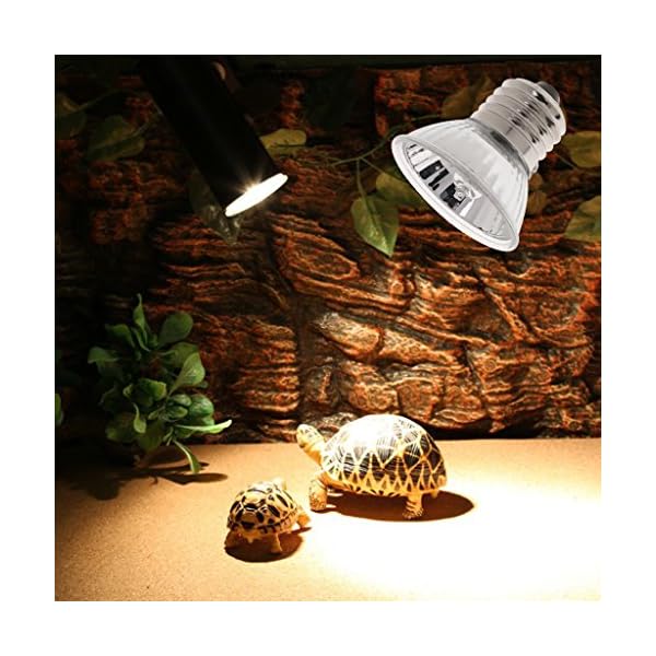 2 Pz 75W Lampada di Basking del Calore Lampade Riscaldante Alogena UVA UVB per Rettilari Animali Domestici Marca: perfk 2 Pz 75W Lampada di Basking del Calore Lampade Riscaldante Alogena UVA UVB per Rettilari Animali Domestici