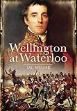 Wellington at Waterloo by 