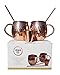 Hammered Moscow Mule Premium Barware Gift Set - Two 16 ounce Pure Copper Mugs, Straws & Shot Glass Included - Luxury In-Home Bar Accessories w/Recipe eBook Bonus