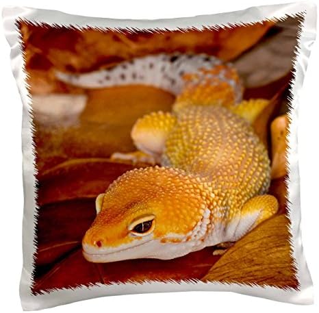 3dRosepc_73099_1 Leopard Gecko Morph, Lizard, Pakistan-AS28 AJE0000-Adam Jones-Pillow Case, 16 by 16"