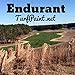 Endurant Turf Colorant – 1 Gallon Jug Revitalizes Approximately 5,000 Sq. Ft of Dormant, Drought-Stricken or Patchy Lawn