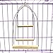 Balacoo Bird Standing Swing Toy Portable Parrot Wood Perch Playground Training Parrot Stand for Parakeets, Cockatiels,Guinea Pig (Size L)thumb 3