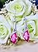 Aokdis (TM) Hot Womens Lady Crystal Marquise Cut Teardrop Wedding Earrings Gift (hot pink)