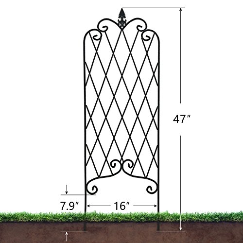 3 Amagabeli+Climbing+Rustproof+Vegetables+Cucumbers