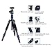 Moman Travel Camera Tripod with 360° Panorama Ball Head, 13.8-61.4 Inches Foldable Height,33.7 lbs Max Payload, Aluminum Alloy Tube for All DSLR & SLR Camera Camcorder