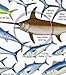 Gamefishes Tropical Atlantic and Caribbean Identification Card