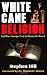 White Cane Religion: And Other Messages from the Brownsville Revival by Stephen Hill