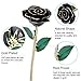 ZJchao Gifts fro Her Women 24K Gold Rose Made from Real Fresh Long Stem Roses Flower, Great Anniversary with Gift Box & Stand (Black Rose with Stand)