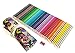 Colored Pencils Roll Up Case with Sharpener for Adults Kids Coloring Drawing Sketching Set