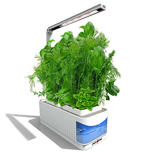 Indoor Hydroponic Herb Garden Kit Lamp, Desk Lamp for Reading, Smart Fresh Herb Garden Hydroponics LED Growing System & Visible Blue Window - Seeds Not Included