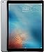 Apple iPad Pro Tablet (256GB, Wi-Fi, 9.7in) Gray (Renewed)