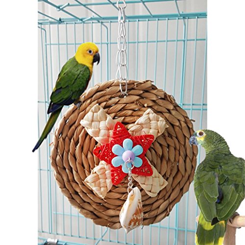 Afco Corn Weaving Shell Dangle Pet Parrot Bird Cage Hanging Decor Round Chew Toy Brain Game Training Tool size 15cm x 24cm
