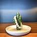 kotoyas Ceramic Ring Holder, Handmade Ceramic Decor Jewelry Tray (Cactus)