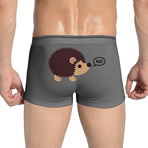 D2 Fashion Man's Hedgehogs Can't Share Boxer Brief Size Medium