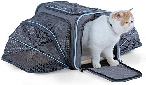 drinking fountain with dog bowl