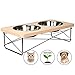Easyology Stainless Steel Elevated Feeder Bowls for Cats and Small Dogs, Beige
