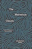 "The Marvelous Clouds Toward a Philosophy of Elemental Media" av John Durham Peters