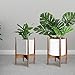Glosom Indoor Plant Stand Width 11