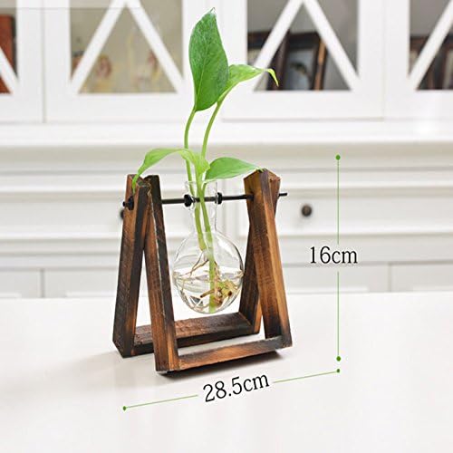 Zantec Kreative Hydroponic Glas Terrarium Tisch Deko Mit Holz Mit Pflanze Topf Zu Hause Dekoration 1 Glass Ball Amazon De Kuche Haushalt