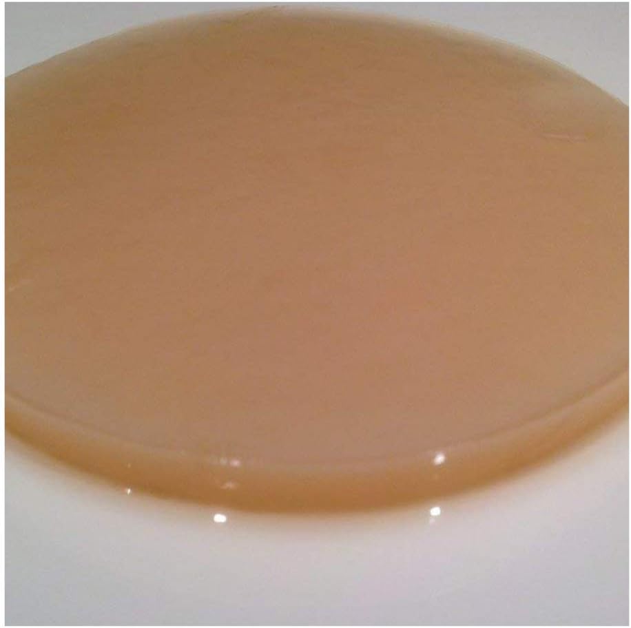 kombucha starter kit